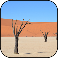 Desert wallpapers