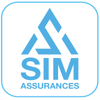 SIM CONNECT
