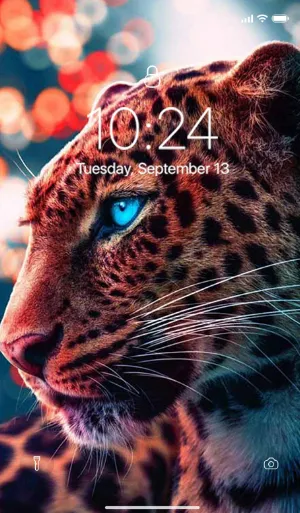 Offline HD Wallpaper Screenshot 3