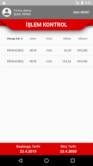 ERP Rapor Screenshot 2