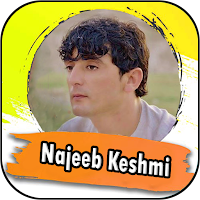 نجیب کشمی