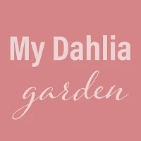 My Dahlia Garden