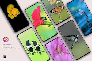 WildPapers - Wildlife Photos Screenshot 2