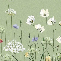 Aesthetic Sage Green Wallpaper