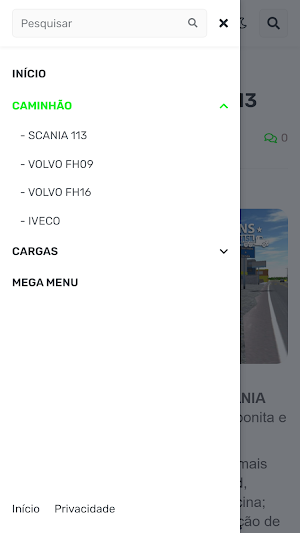 Skins Truck Sim Brasil TSB Screenshot 1