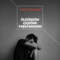 Belki şarkısı