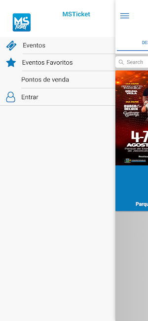 MS Ticket Screenshot 3