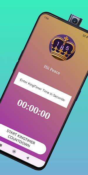 Stake KingTimer Screenshot 1