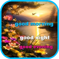 Good Morning Good Night