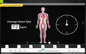 HumanAnatomy-Circulatory Screenshot 2