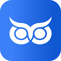 Wise Audit (Maui)