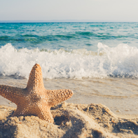 Beach Wallpaper