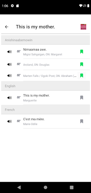 Anishinaabemowin Conversation Screenshot 3