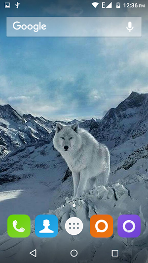 Wolf Hd Wallpaper Screenshot 1