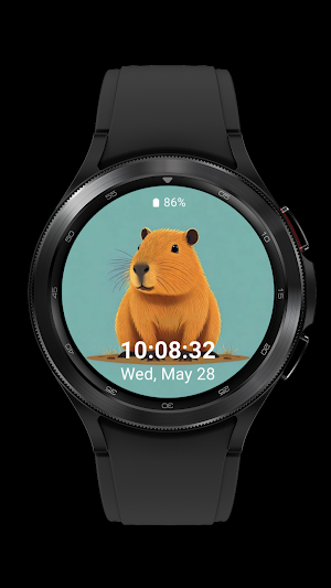capybara cute_003 Screenshot 3