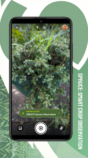 SPRUCE Screenshot 0