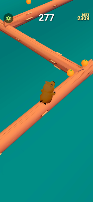 Capybara Screenshot 2