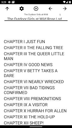 Book, The Outdoor Girls at Wild Rose Lodge Screenshot 0