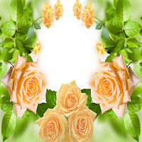Romantic Photo Frames