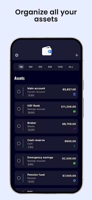 Net Worth Tracker - AssetView Screenshot 2