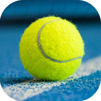3D Rock Tennis World Go Champs