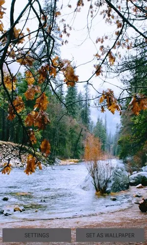 Autumn River Live Wallpaper Screenshot 0