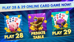 28 29 Multiplayer Screenshot 0