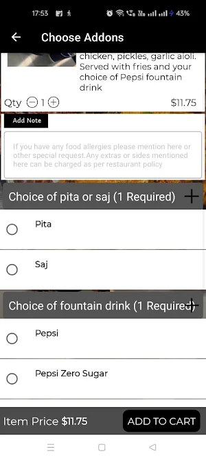 Kabab Guys Screenshot 3
