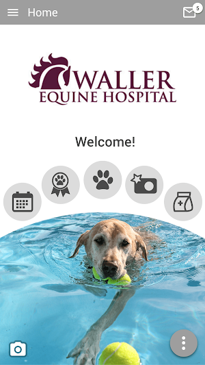 Waller Equine Screenshot 0