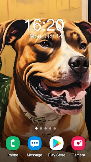Pitbull Wallpaper 2024 Screenshot 3