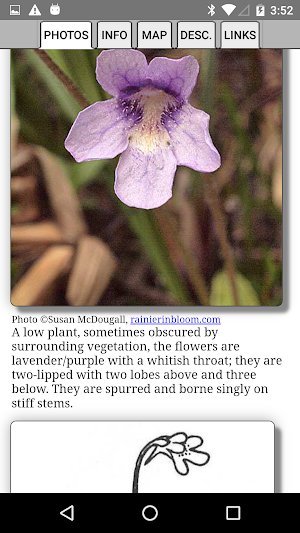 Newfoundland Wildflowers Screenshot 3