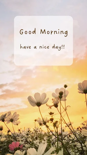 good morning gif & images Screenshot 2