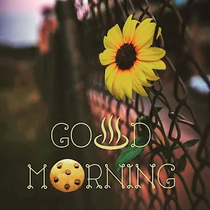 Good Morning Flower Wishes Screenshot 1