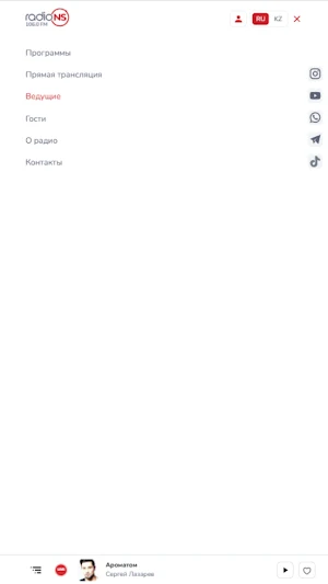 Radio NS Screenshot 2