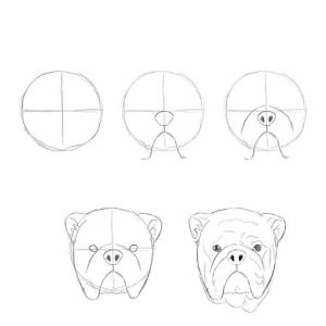 How to draw animals guide Screenshot 0