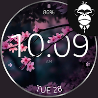 Cherry Blossom Watch Face