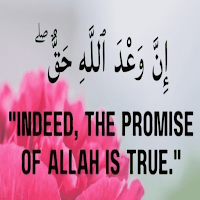 Quranic quotes