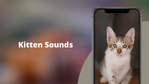 Kitten Sounds - Kitten Meow Sound Screenshot 0