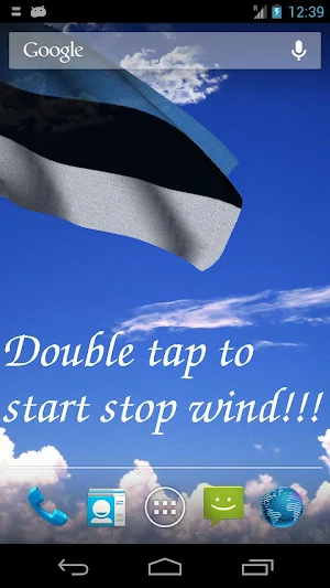 Estonia Flag Screenshot 0