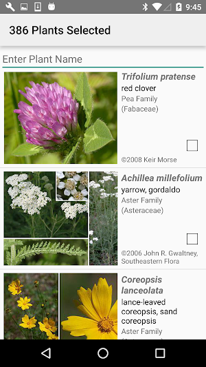 Maryland Wildflowers Screenshot 2