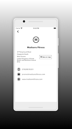 MADISONS Screenshot 2