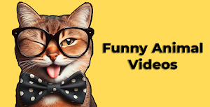 Funny Animal Videos Screenshot 0