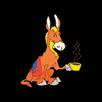 20 Mule