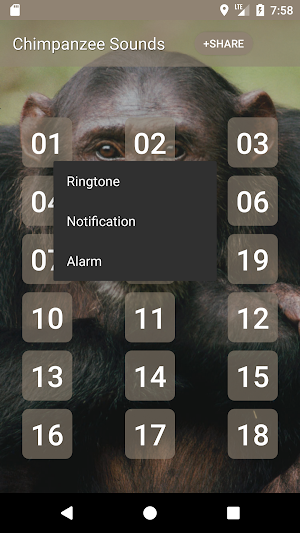 Chimpanzee Sounds Screenshot 1