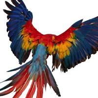 Parrot OS : Parrot Linux