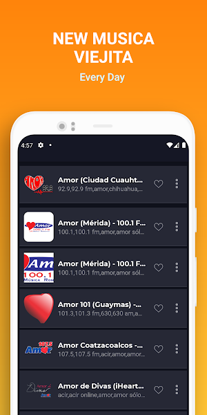 Musica Viejitas Pero Bonitas Screenshot 2