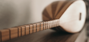 Baglama Instrument Screenshot 3