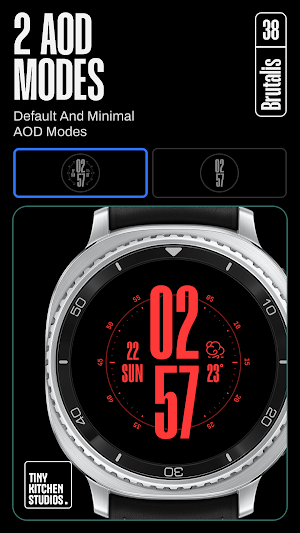 TKS 38 Brutalis Watch Face Screenshot 3