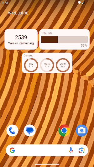 Memento Mori: Stoic Calendar Screenshot 3