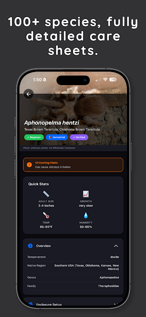 Tarantuverse Screenshot 3
